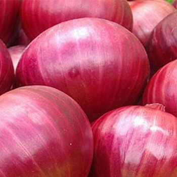 Fresh Red Onion buy fresh fruit and vegetables online Malta