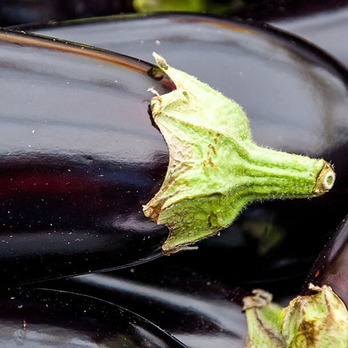 Eggplant per piece buy fresh fruit and vegetables online Malta Eggplant per piece buy fresh fruit and vegetables online Malta