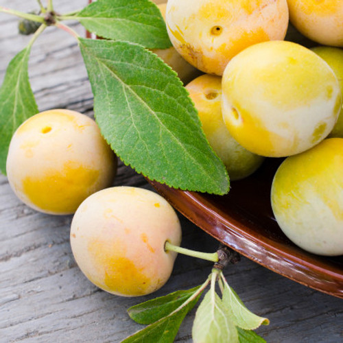 Plums per kg buy fresh fruit and vegetables online Malta