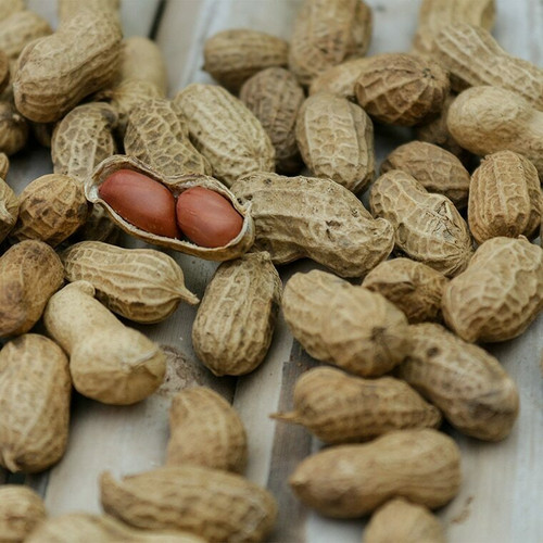 Peanuts (salted) per 1.25kg pack buy fresh fruit and vegetables online Malta