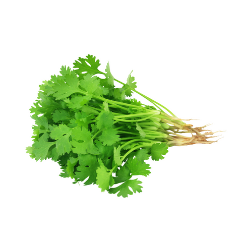 Coriander buy fresh fruit and vegetables online Malta