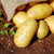 Potatoes per kg buy fresh fruit and vegetables online Malta