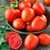 Tomatoes per kg buy fresh fruit and vegetables online Malta