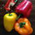 Bell peppers per kg buy fresh fruit and vegetables online Malta