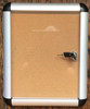 Indoor Enclosed Bulletin Board Cabinet - Bulletin Board Lockable Display  Wall Frame