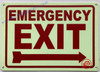 Photoluminescent EMERGENCY EXIT WITH RIGHT ARROW /GLOW IN THE DARK EMERGENCY EXIT WITH RIGHT ARROW