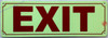 Photoluminescent EXIT SIGN/GLOW IN THE DARK EXIT SIGN