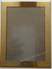 Elevator frame -Brushed Gold Stainless Steel Frame