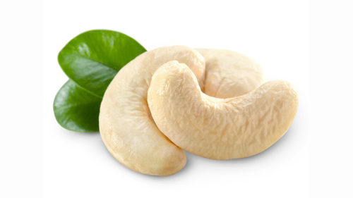 W180 Jumbo Organic Cashew Kernels - USDA Certified | Bulk Wholesale