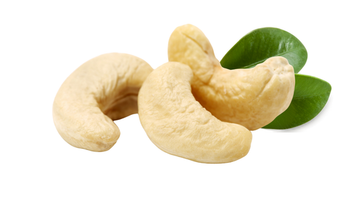 W240 Large Organic Cashew Kernels — USDA Certified | Bulk Wholesale