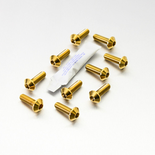 Stainless Steel Disc Bolt To Fit Yamaha/KTM M8x25mm Pack x10 | Pro