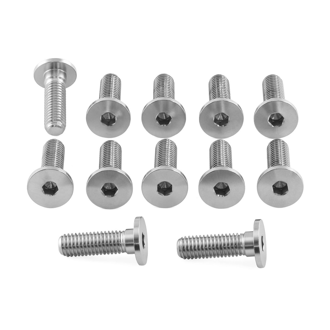 Stainless Steel Disc Bolt To Fit BMW/KTM M8x28mm Pack x12 | Pro-Bolt