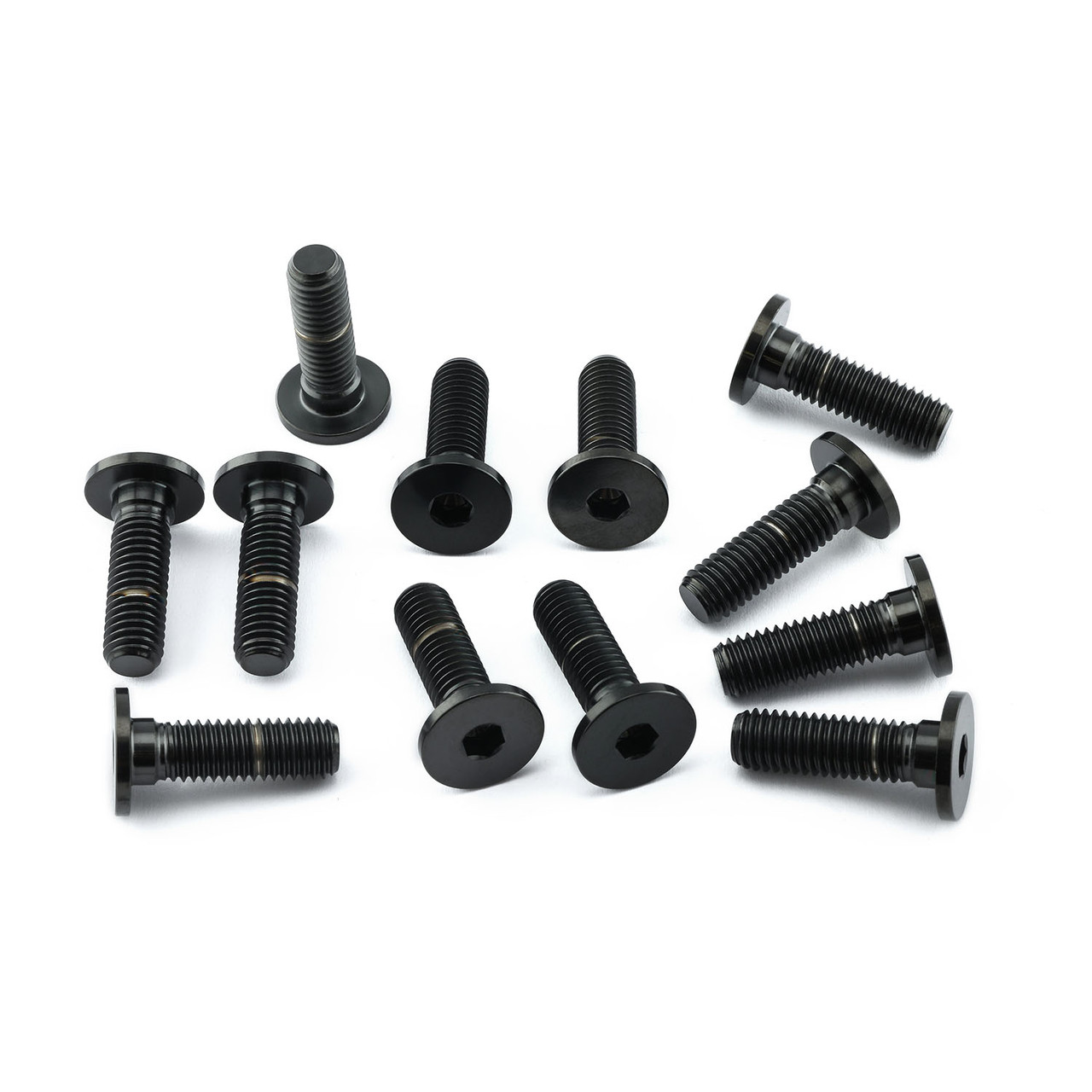 Titanium Disc Bolt To Fit BMW/KTM M8x28mm Pack x12 | Pro-Bolt