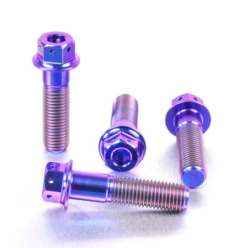 ねじ1 Titanium Front Brake Caliper Mount Bolt Kit DualDrive | Pro-Bolt