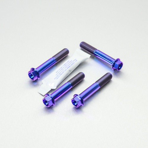 チタン ブレーキキャリパーマウントボルトキット フランジヘックス