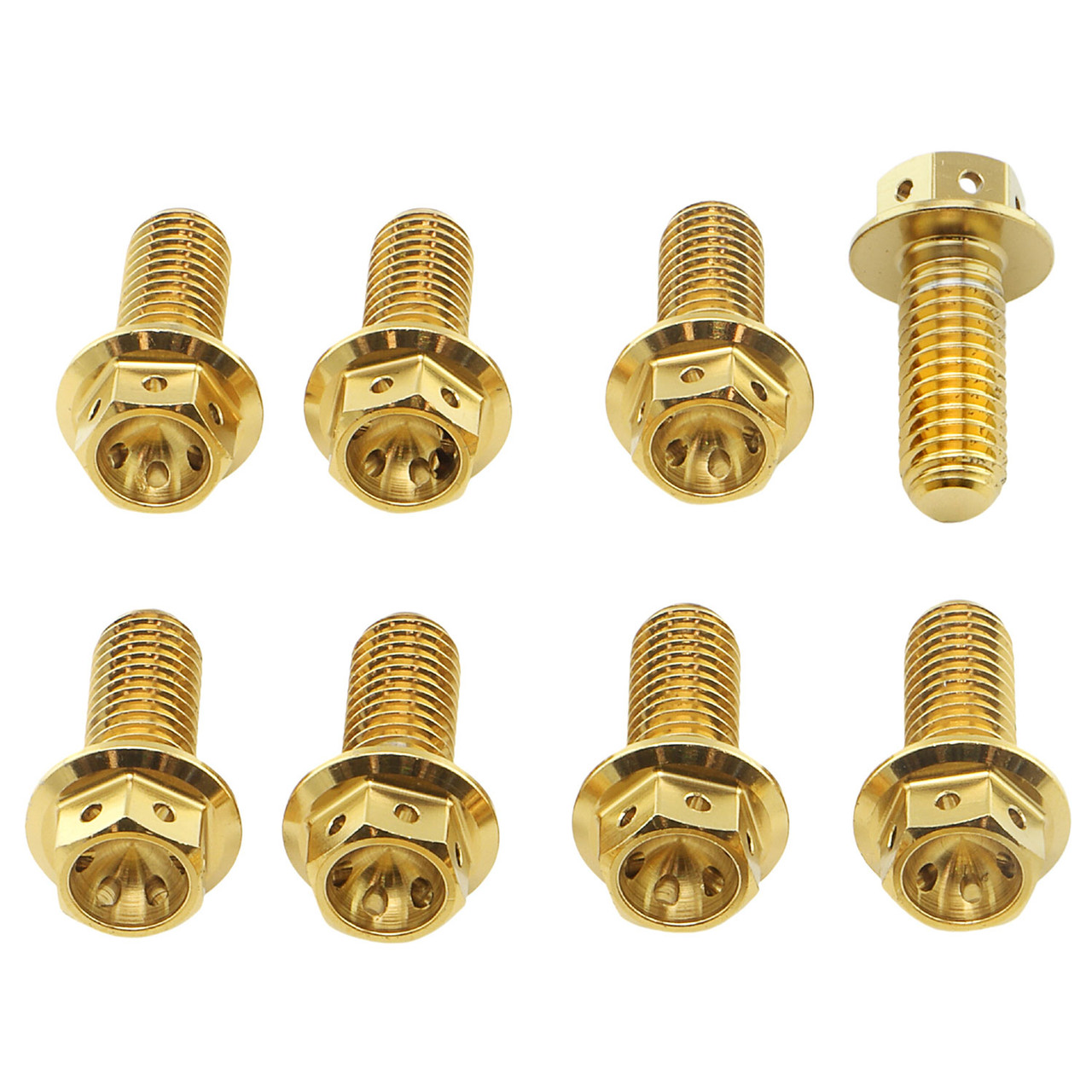 ステンレス ディスクボルト M6x(1.00mm)x20mm リア レーススペック 6個