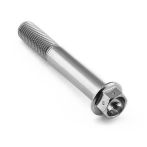 チタン ヘックスヘッド M10 x (1.25mm) 長さ65mm レーススペック チタン ヘックスヘッド M10 x (1.25mm) 長さ65mm レーススペック