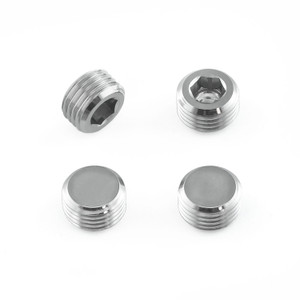 Titanium Caliper Pin Grubscrew M10x(1.00mm) Pack x2 Rear | Pro-Bolt