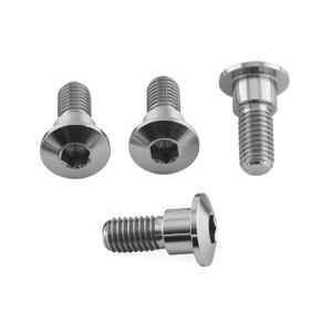 Titanium Disc Bolt To Fit Kawasaki/Suzuki M8x30mm Pack x4 | Pro-Bolt