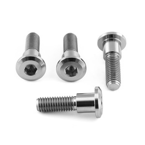 Titanium Disc Bolt To Fit Triumph/KTM M8x30mm Pack x4 Titanium Disc Bolt To Fit Triumph/KTM M8x30mm Pack x4