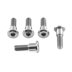 Titanium Disc Bolt To Fit Triumph/KTM M8x30mm Pack x5 Titanium Disc Bolt To Fit Triumph/KTM M8x30mm Pack x5