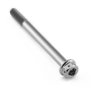 Titanium DualDrive Bolt M6x(1.00mm)x30mm Race Spec | Pro-Bolt