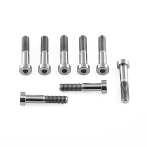 チタン Bremboキャリパーピンチボルト M8 x (1.25mm) x 40mm 8個セット