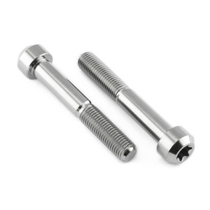 チタン フロント ブレーキキャリパーマウントボルトキット トルクスドライブボルト