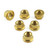 ステンレス スプロケットナット M10 x (1.50mm) 6個パック ゴールド