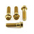 ステンレス フロント ブレーキキャリパーピンチセット ゴールド