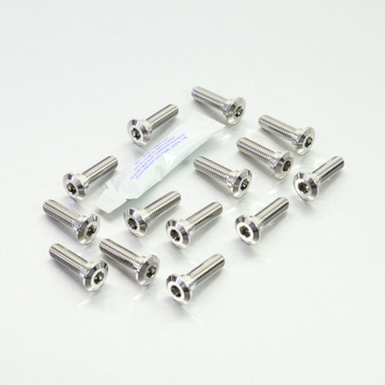 ステンレス ディスクボルト カワサキ 14個パック