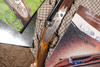 A10 - O/U Sidelock, Standard Grade, 28ga. 28" Barrels with Screw-in Choke Tubes. #92517