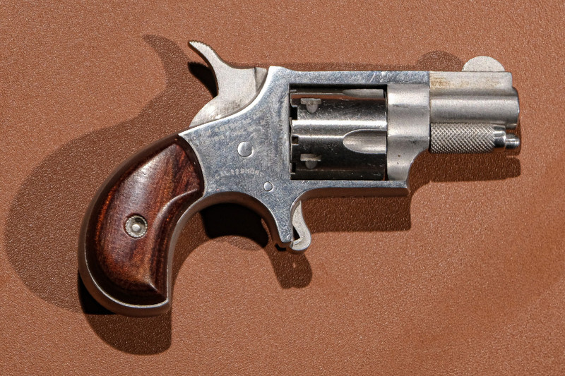 North American Arms - 22LR, .22 LR. 1.125" Barrel. #81402