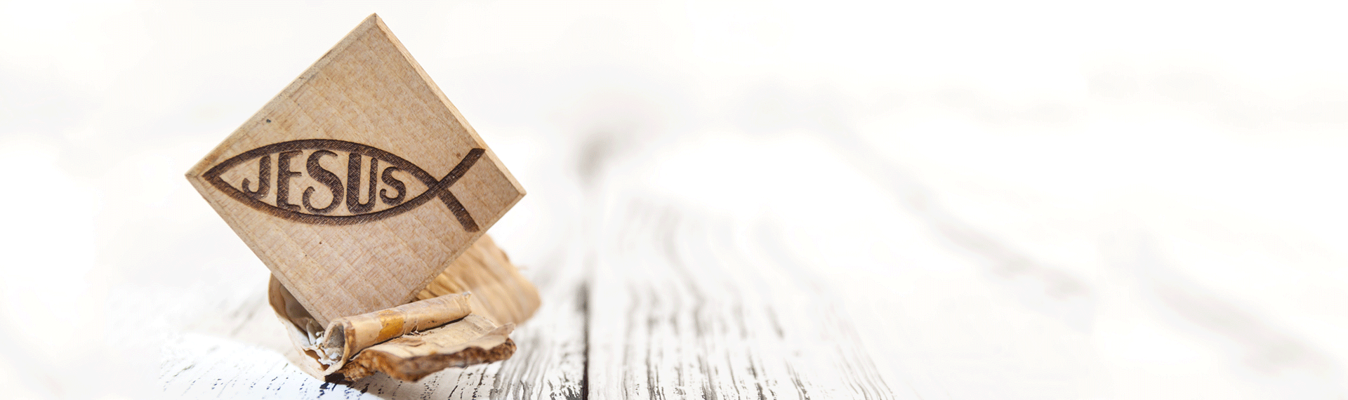 Sign Up For Exclusive Offers From Us