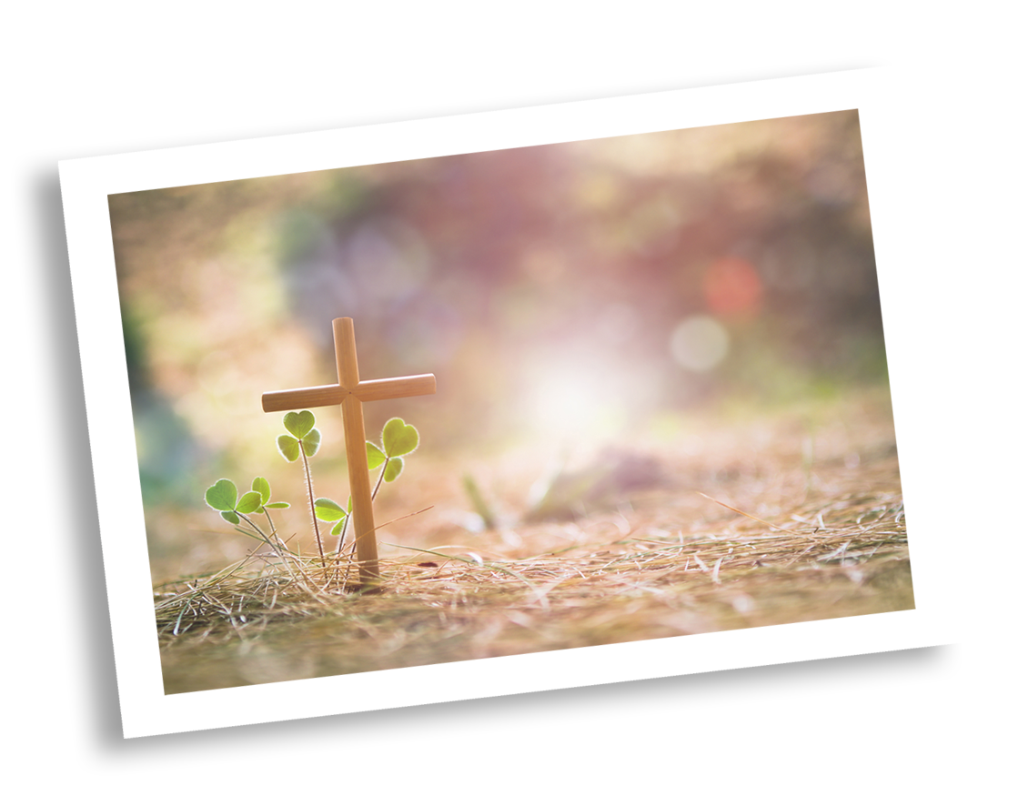 Operation Cross USA Beginnings and Blogs, small wood cross and small plants sprouting.