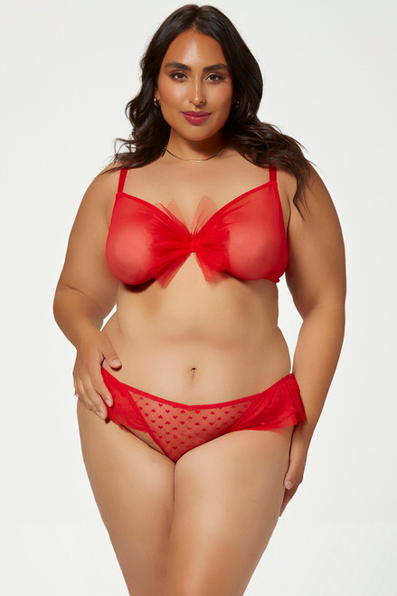 Plus Size Red Sheer Blossom Bra & Thong