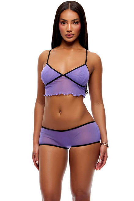 Purple Sheer Mesh Cami & Boyshorts