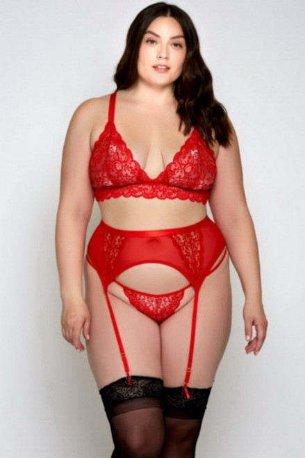 Plus Size Red Lace & Mesh Bra, Garterbelt & Strappy G-String Set