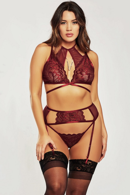 Plus Size Aurora's Burgundy Bra, Garterbelt & Backless Panty Set