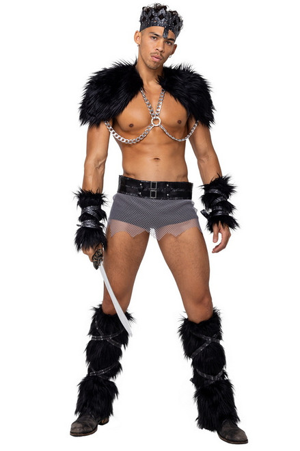 Men's Viking Hunk Halloween Costume