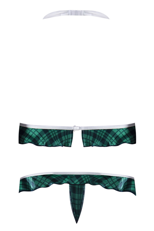 Plus Size Teal Private Lessons School Girl Bedroom Costume image 1