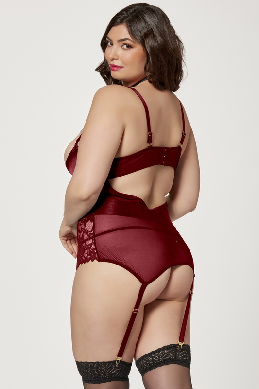 Plus Size Wine Brilliant Bling Bustier & G-String image 1