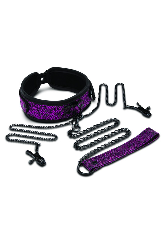 Dragon's Lair Collar, Leash & Nipple Clips Set