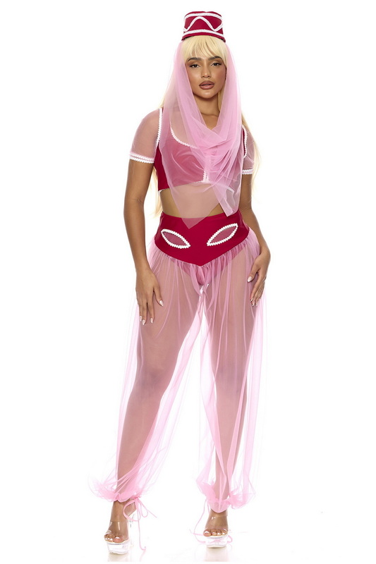 Dream Of Me Halloween Costume image 1