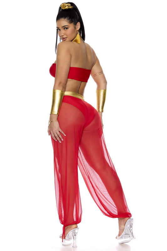 Royal Service Halloween Costume image 2