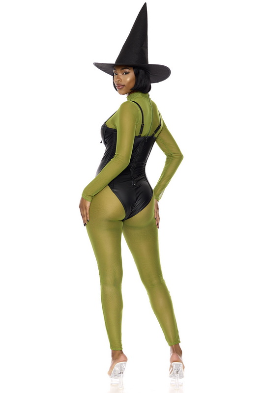 Wicked West Halloween Costume image 4