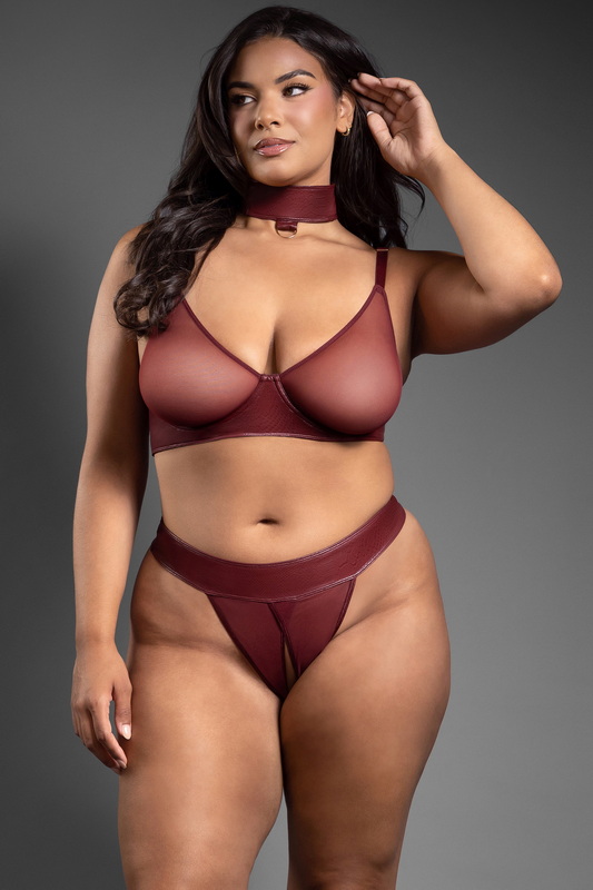 Plus Size Burgundy Mesh & Faux Leather Bra & Panty Set image 1