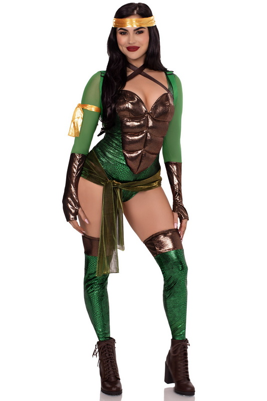 Renegade Ninja Hero Costume