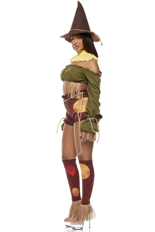 Straw For Brains Storybook Costume image 4