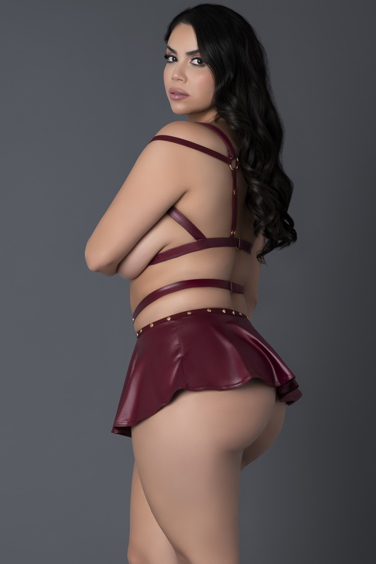 Plus Size Lust Fetish Burgundy Cupless Dress image 2
